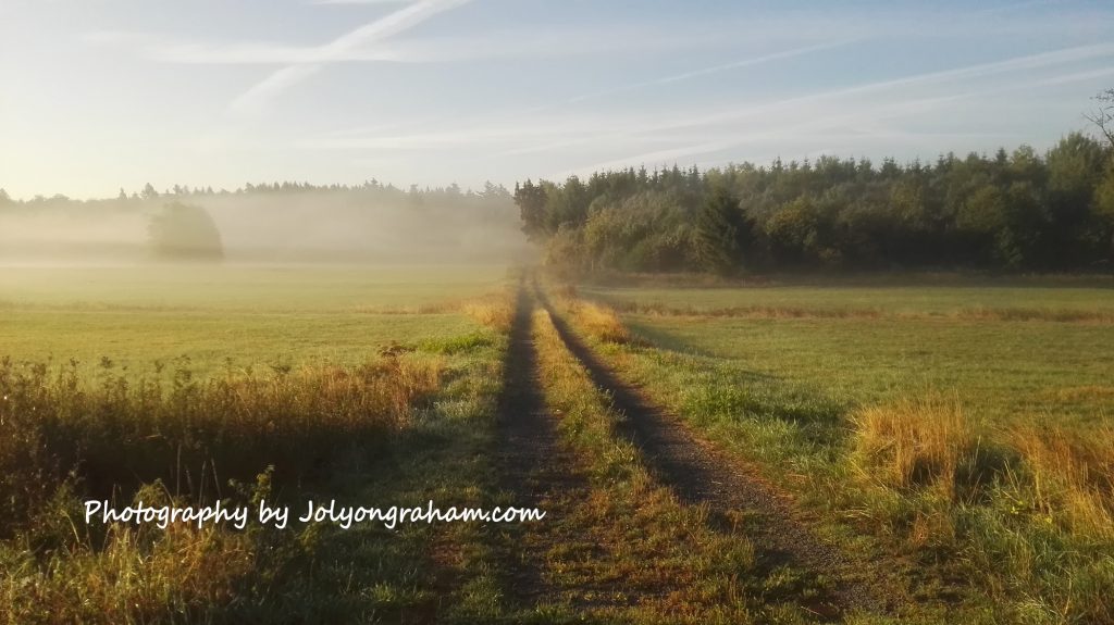 Wandern im Westerwald