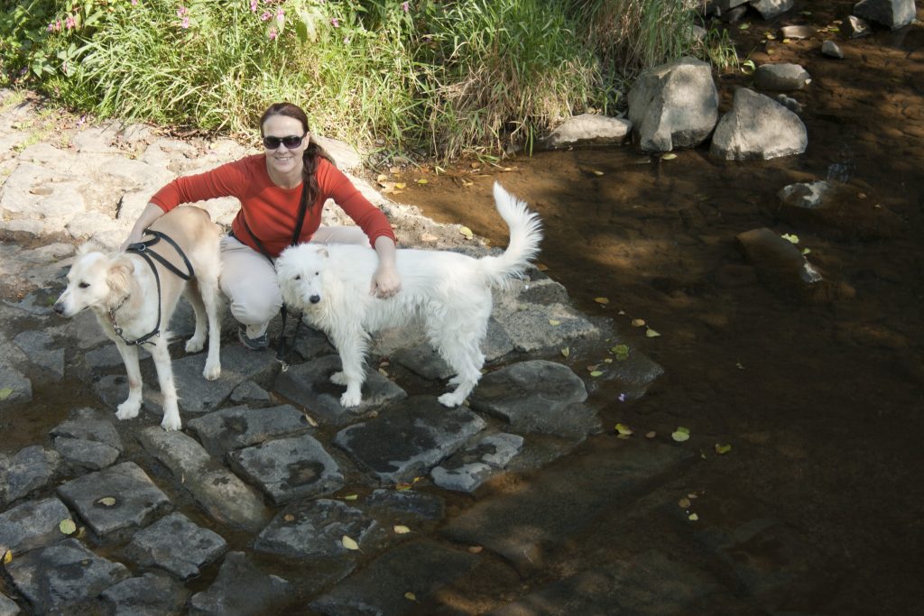 Wandern im Westerwald